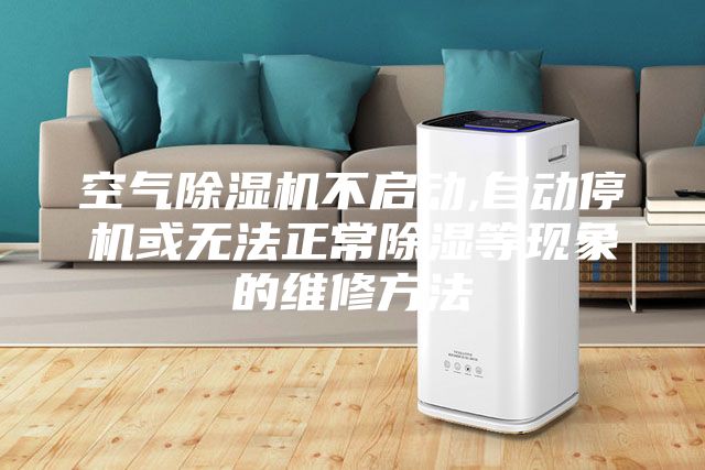 空气除湿机不启动,自动停机或无法正常除湿等现象的维修方法