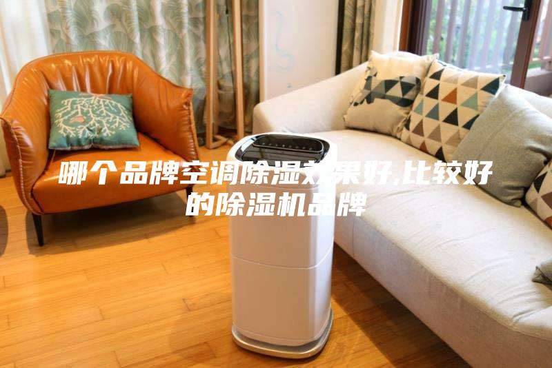 哪个品牌空调除湿效果好,比较好的除湿机品牌