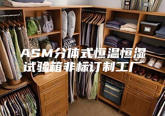 ASM分体式恒温恒湿试验箱非标订制工厂