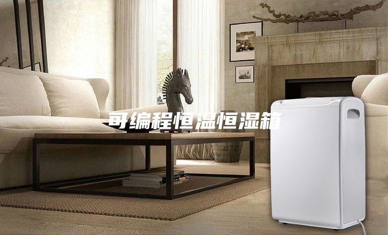 可编程恒温恒湿箱
