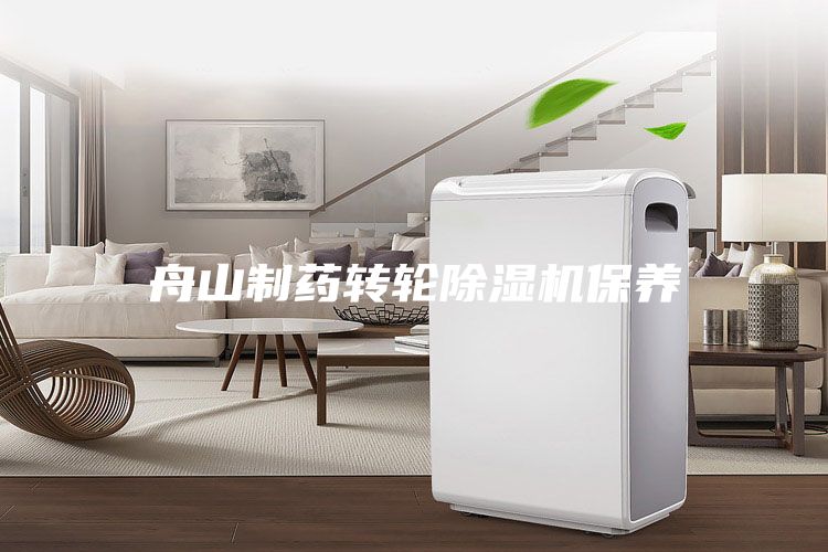 舟山制药转轮除湿机保养