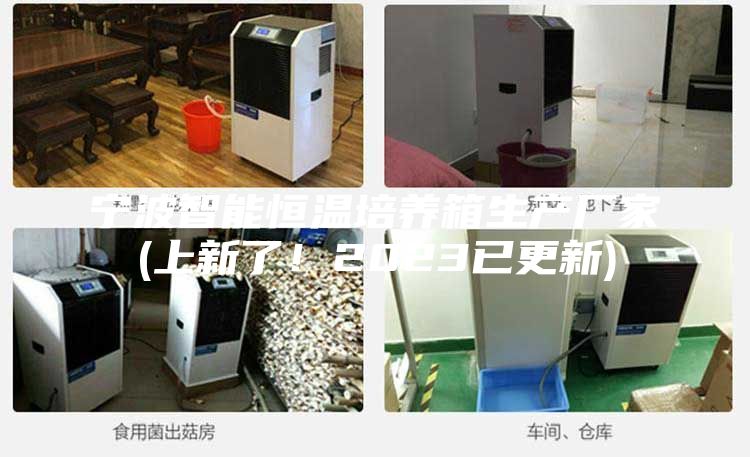 宁波智能恒温培养箱生产厂家(上新了！2023已更新)
