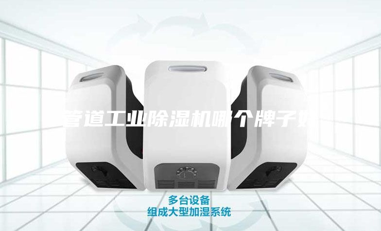 管道工业除湿机哪个牌子好