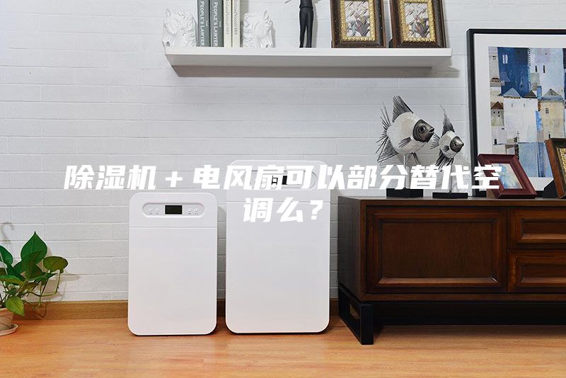 除湿机＋电风扇可以部分替代空调么？