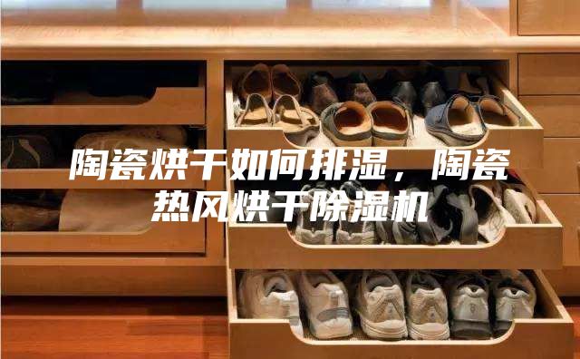 陶瓷烘干如何排湿，陶瓷热风烘干除湿机