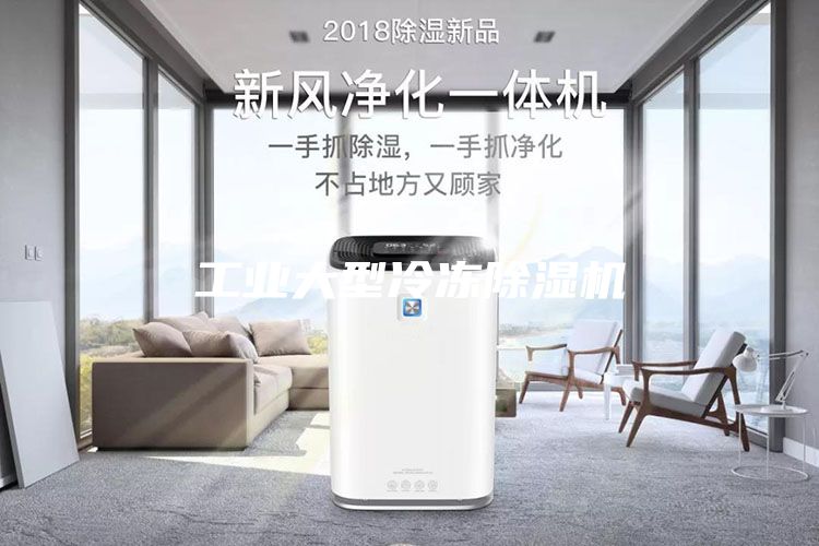 工业大型冷冻除湿机