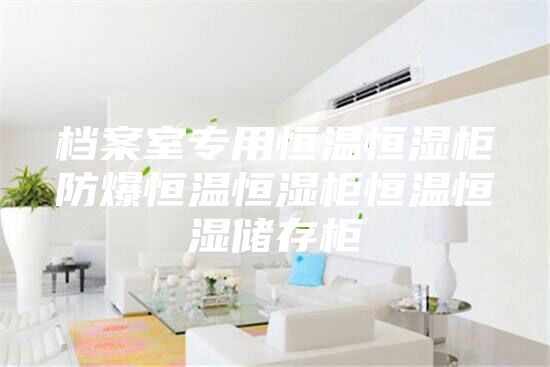 档案室专用恒温恒湿柜防爆恒温恒湿柜恒温恒湿储存柜