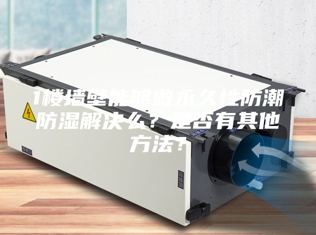 1楼墙壁能够做永久性防潮防湿解决么？是否有其他方法？