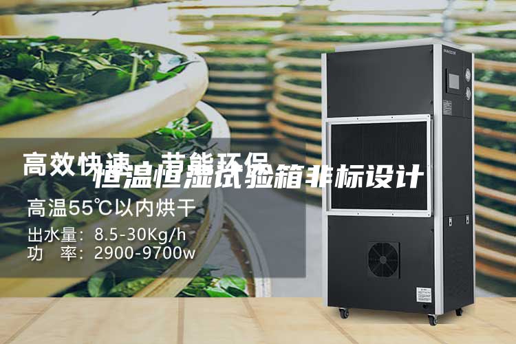 恒温恒湿试验箱非标设计