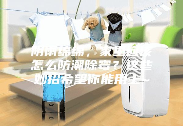 阴雨绵绵，家里应该怎么防潮除霉？这些妙招希望你能用上~