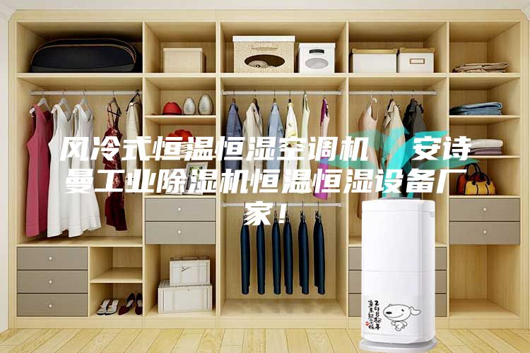 风冷式恒温恒湿空调机  安诗曼工业除湿机恒温恒湿设备厂家！