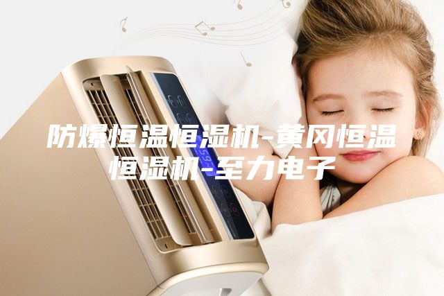 防爆恒温恒湿机-黄冈恒温恒湿机-至力电子
