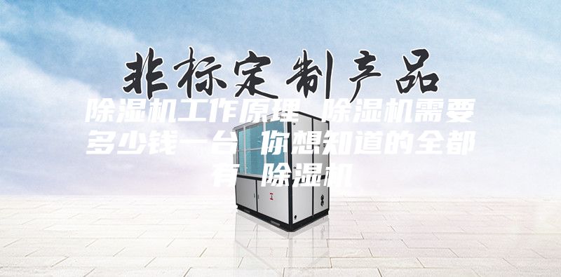 除湿机工作原理 除湿机需要多少钱一台 你想知道的全都有 除湿机