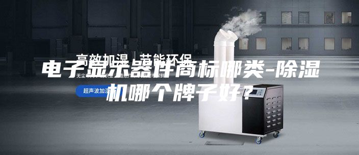 电子显示器件商标哪类-除湿机哪个牌子好？