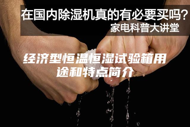 经济型恒温恒湿试验箱用途和特点简介