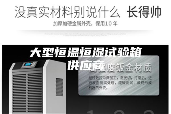 大型恒温恒湿试验箱供应商