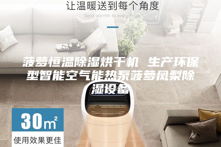菠萝恒温除湿烘干机 生产环保型智能空气能热泵菠萝凤梨除湿设备