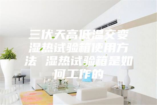 三伏天高低温交变湿热试验箱使用方法 湿热试验箱是如何工作的