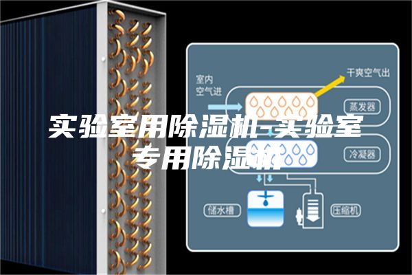 实验室用除湿机-实验室专用除湿机