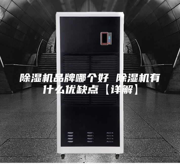 除湿机品牌哪个好 除湿机有什么优缺点【详解】