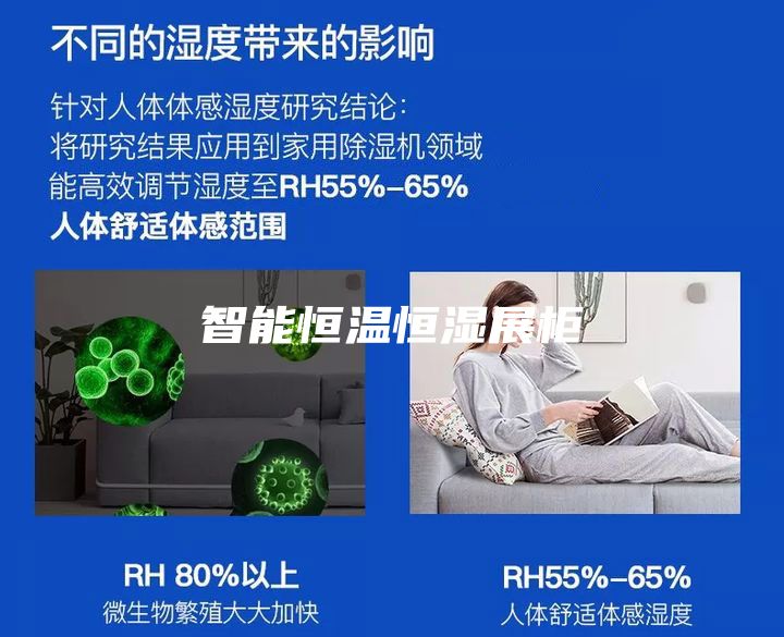 智能恒温恒湿展柜