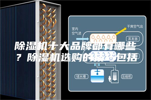 除湿机十大品牌都有哪些？除湿机选购的技巧包括