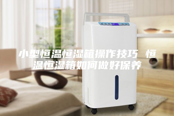 小型恒温恒湿箱操作技巧 恒温恒湿箱如何做好保养