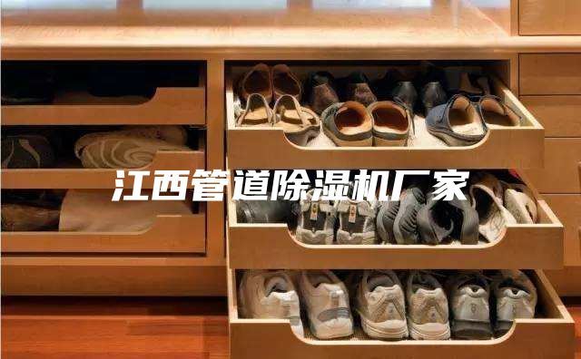 江西管道除湿机厂家