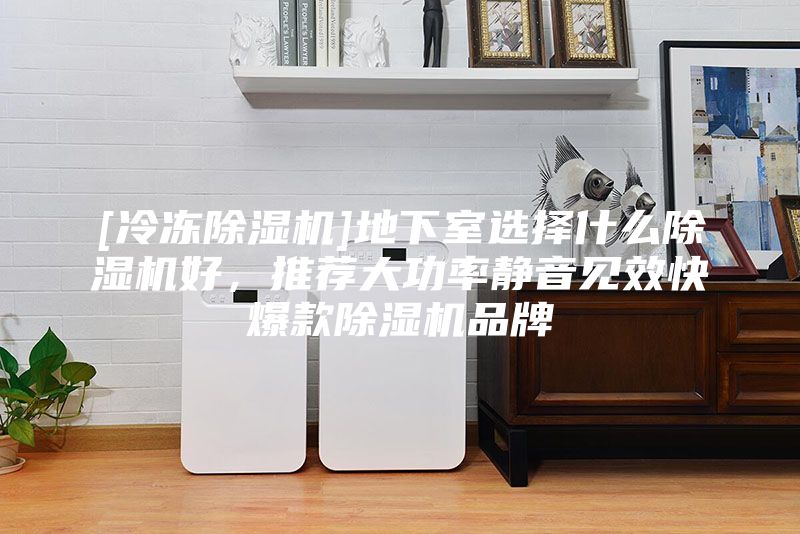 [冷冻除湿机]地下室选择什么除湿机好，推荐大功率静音见效快爆款除湿机品牌