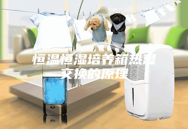 恒温恒湿培养箱热湿交换的原理
