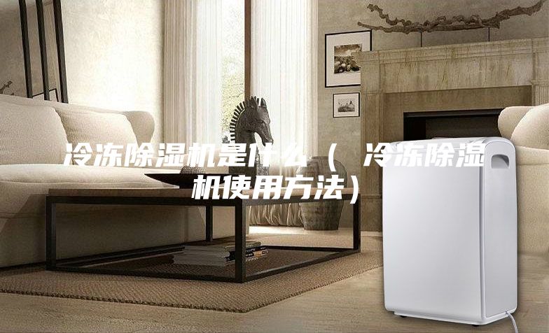 冷冻除湿机是什么（ 冷冻除湿机使用方法）