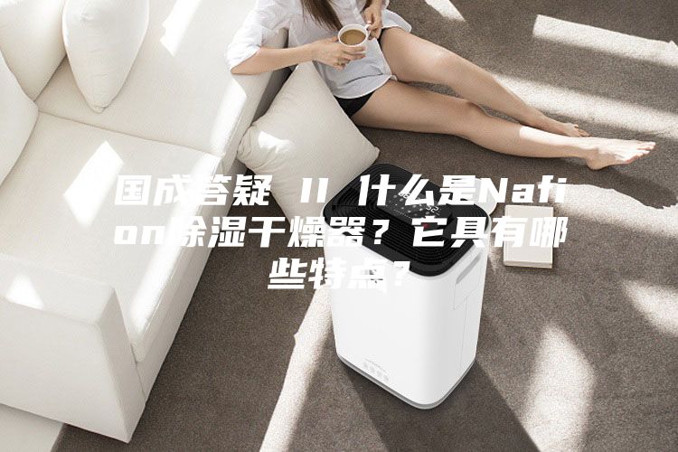 国成答疑 II 什么是Nafion除湿干燥器？它具有哪些特点？