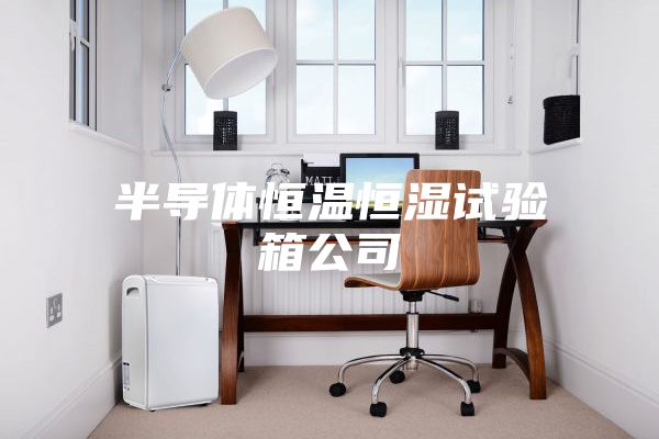 半导体恒温恒湿试验箱公司