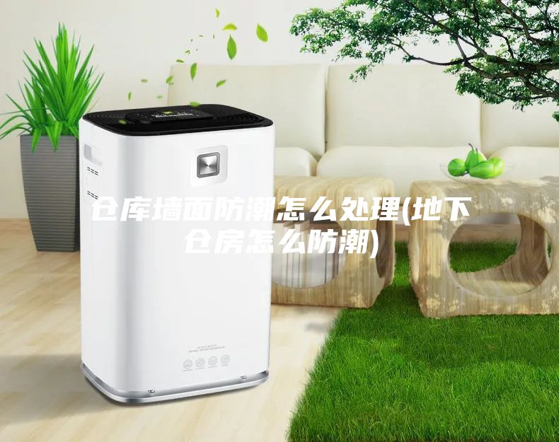 仓库墙面防潮怎么处理(地下仓房怎么防潮)