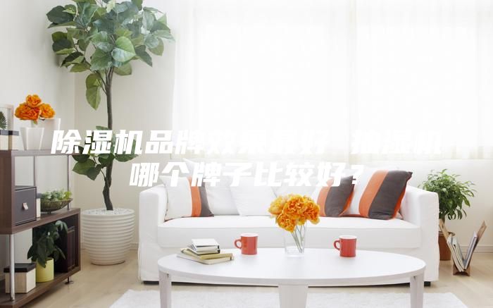 除湿机品牌效果最好 抽湿机哪个牌子比较好？