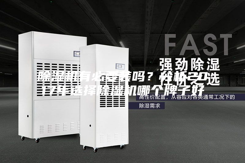 除湿机有必要装吗？分析2017年选择除湿机哪个牌子好