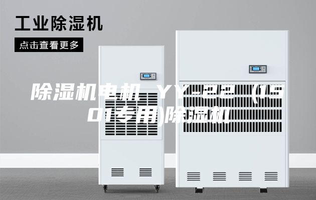 除湿机电机 YY-22 (1501专用)除湿机