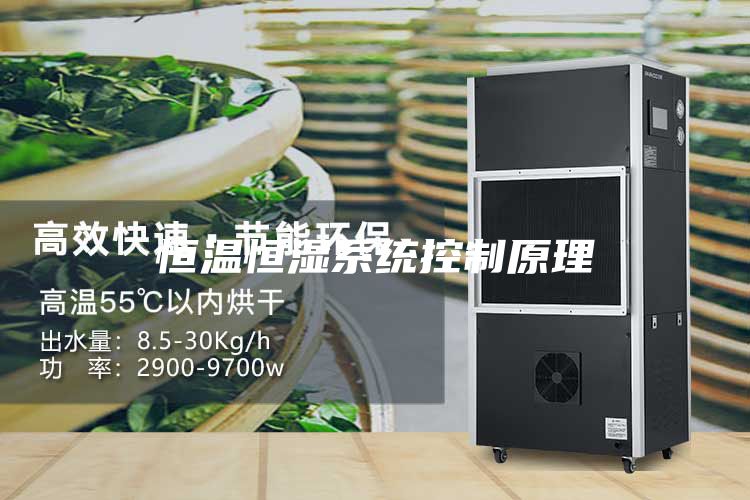 恒温恒湿系统控制原理