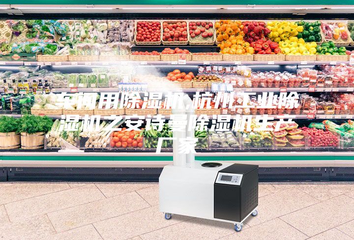 车间用除湿机,杭州工业除湿机之安诗曼除湿机生产厂家
