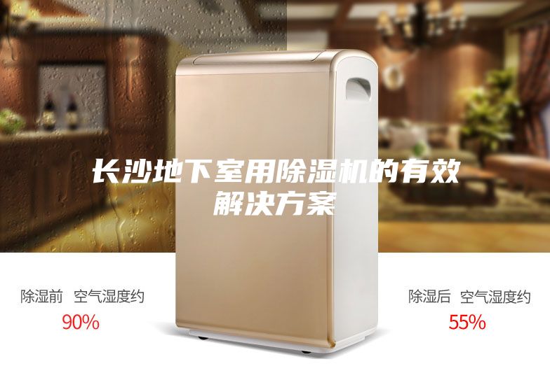 长沙地下室用除湿机的有效解决方案