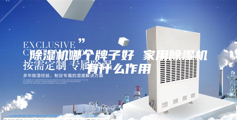 除湿机哪个牌子好 家用除湿机有什么作用