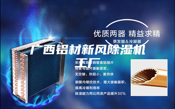 广西铝材新风除湿机工厂