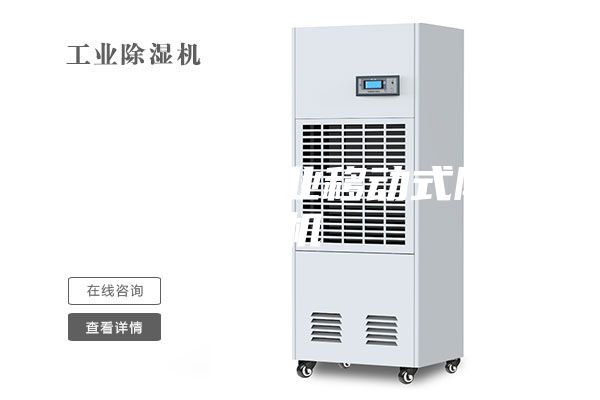 岳阳大型工业移动式除湿机