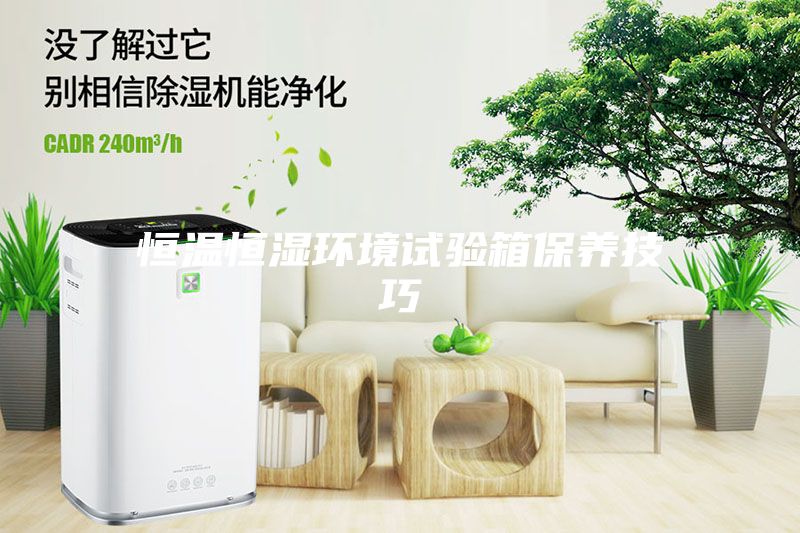 恒温恒湿环境试验箱保养技巧