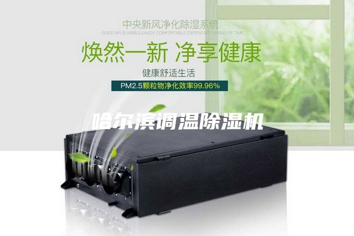 哈尔滨调温除湿机