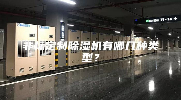 非标定制除湿机有哪几种类型?