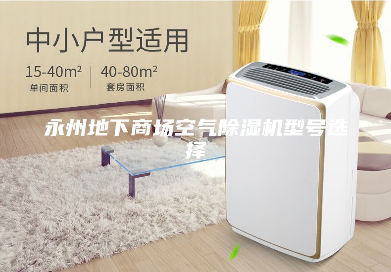 永州地下商场空气除湿机型号选择