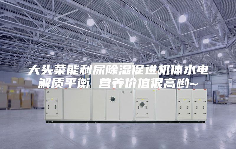 大头菜能利尿除湿促进机体水电解质平衡 营养价值很高哟~