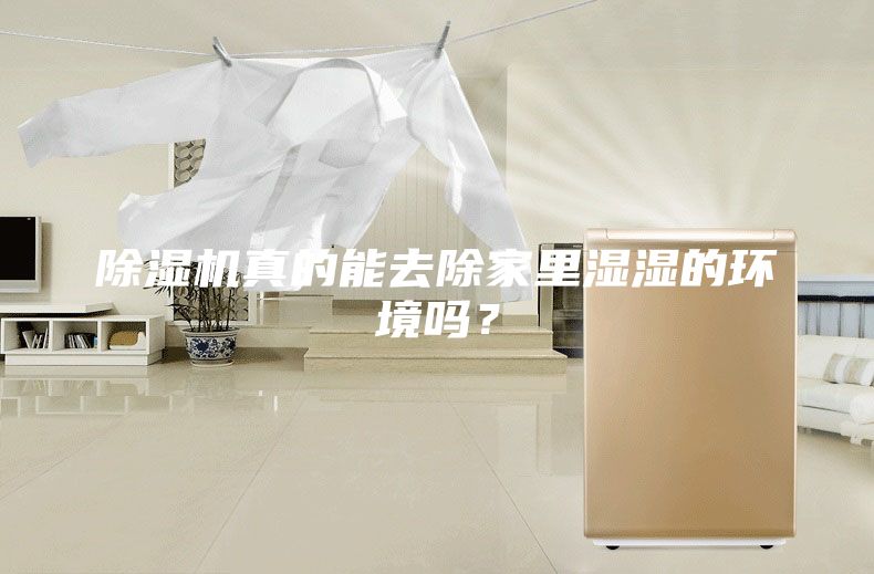 除湿机真的能去除家里湿湿的环境吗？