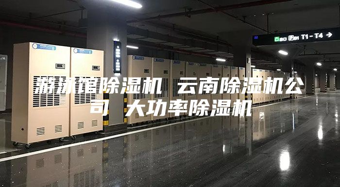 游泳馆除湿机 云南除湿机公司 大功率除湿机